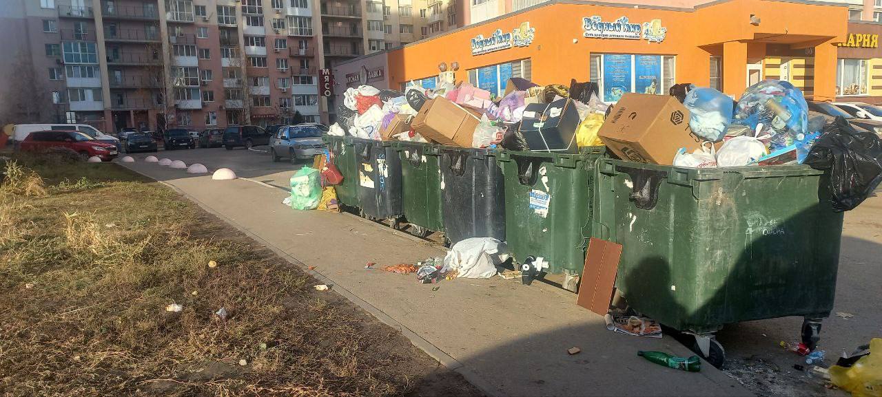 После жалоб саратовцев на горы мусора Панков обратится в прокуратуру